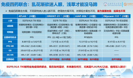 EGFR突变肺癌治疗策略及进展研究——周斐教授讲座学习笔记