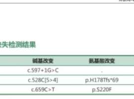 肺癌晚期罕见SMARCA4缺失型，基因突变STK11+TP53+BRCA1无靶向药，求指导