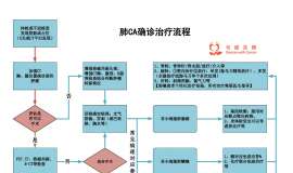 【新手必看】肺癌患者确诊治疗流程图~