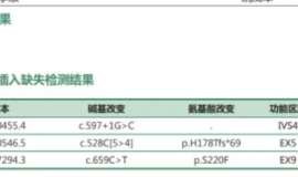 肺癌晚期罕见SMARCA4缺失型，基因突变STK11+TP53+BRCA1无靶向药，求指导