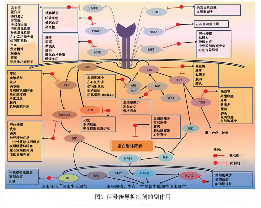 Fig1 chinese.jpg