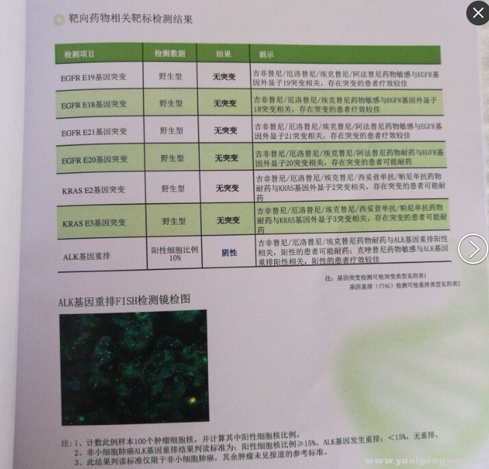 基因检测报告