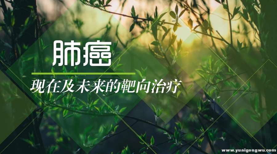 文章图片.jpg