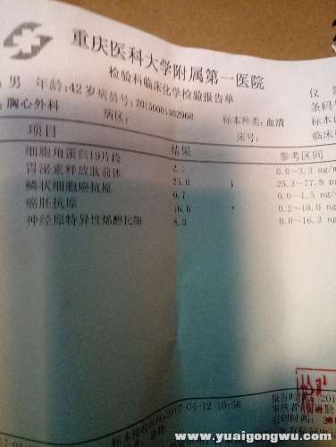 P70412-153330.jpg