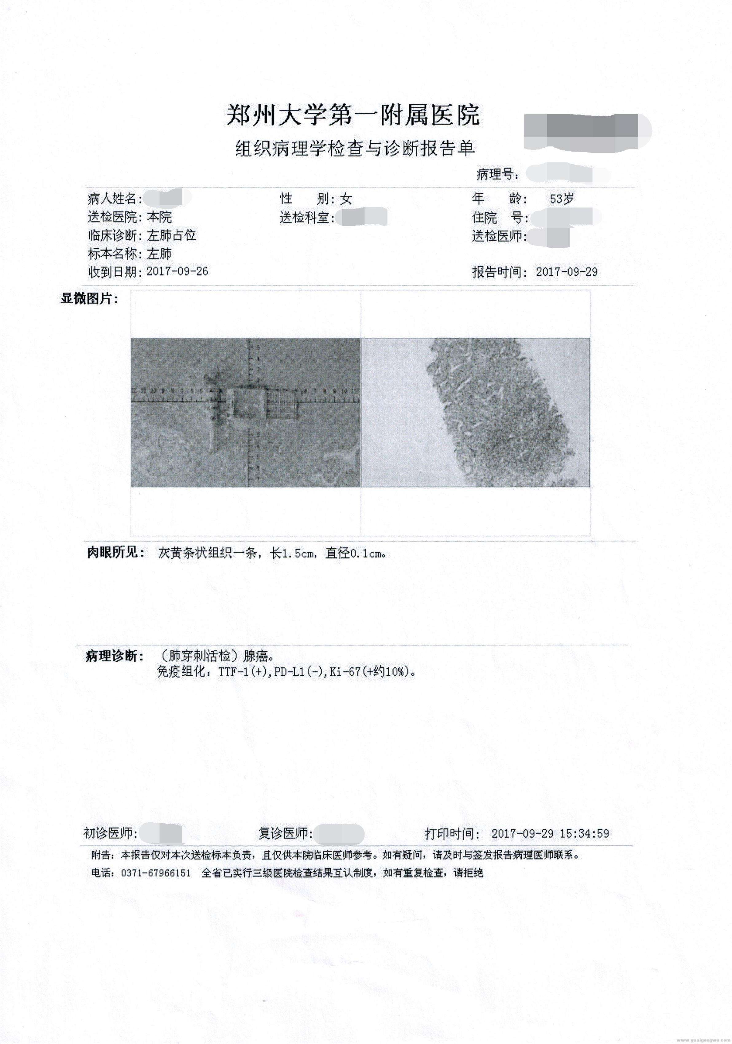 组织病理学检查与诊断报告单.jpg