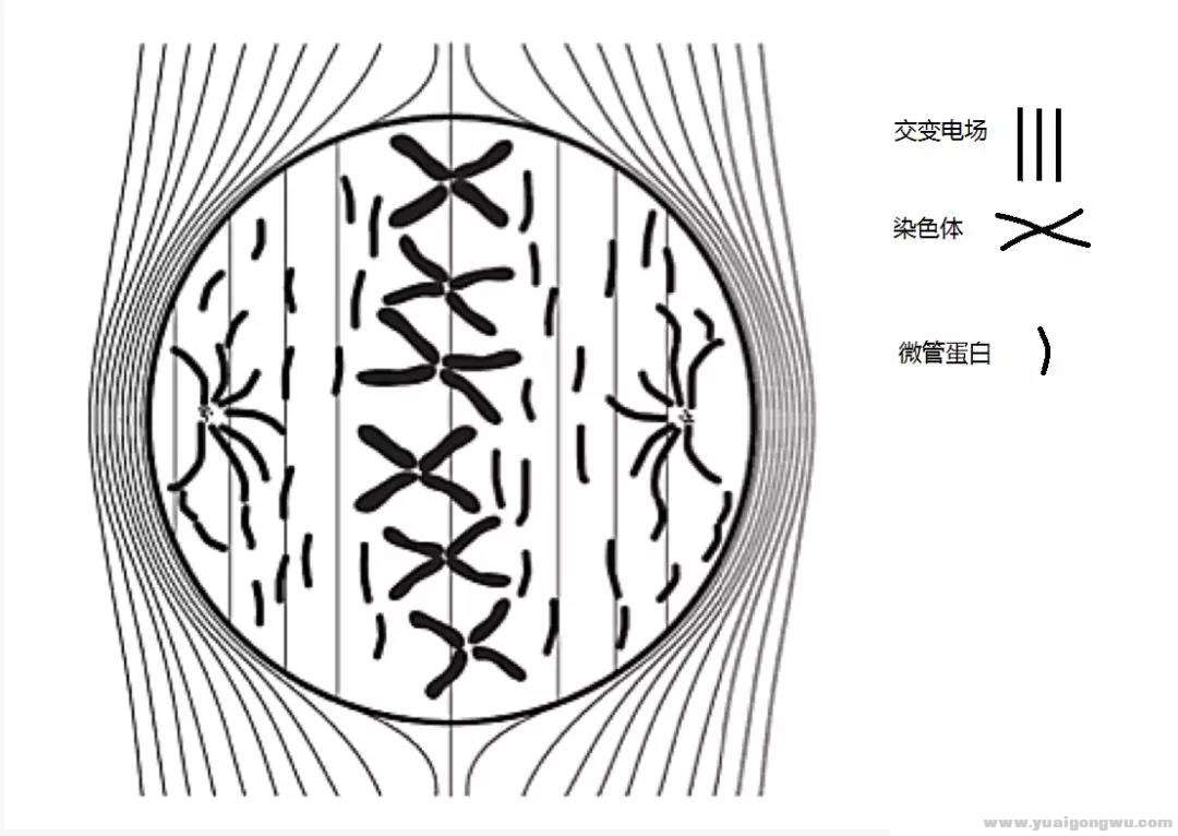 微信图片_20190304102119.jpg