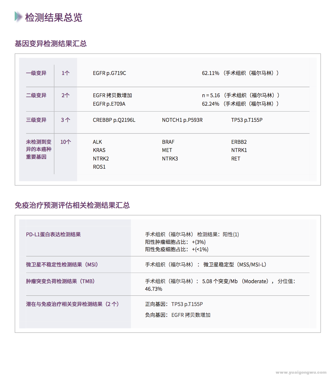 术后病理组织基因检测结果